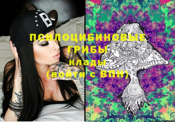 ECSTASY Абаза