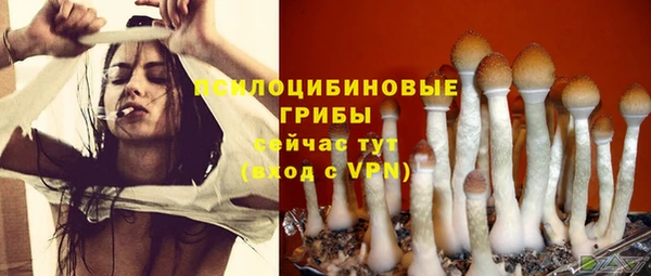 ECSTASY Абаза