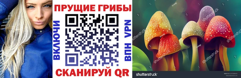 Псилоцибиновые грибы ЛСД  магазин    блэк спрут сайт  Серпухов 