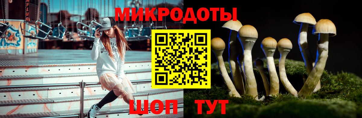 Псилоцибиновые грибы мухоморы Серпухов